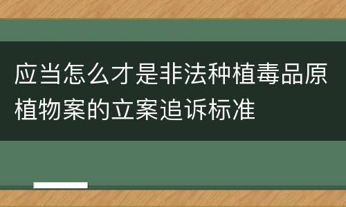 应当怎么才是非法种植毒品原植物案的立案追诉标准