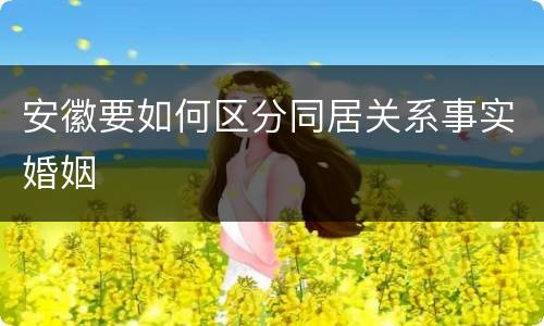 安徽要如何区分同居关系事实婚姻