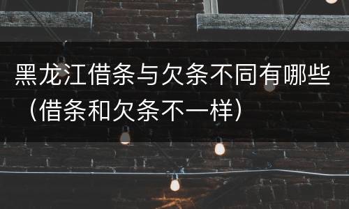 黑龙江借条与欠条不同有哪些（借条和欠条不一样）