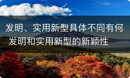 发明、实用新型具体不同有何 发明和实用新型的新颖性