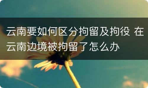 云南要如何区分拘留及拘役 在云南边境被拘留了怎么办