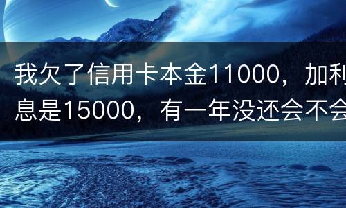 我欠了信用卡本金11000，加利息是15000，有一年没还会不会被案