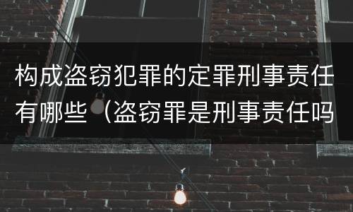 构成盗窃犯罪的定罪刑事责任有哪些（盗窃罪是刑事责任吗）