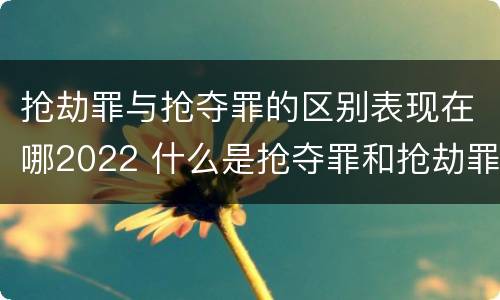 抢劫罪与抢夺罪的区别表现在哪2022 什么是抢夺罪和抢劫罪
