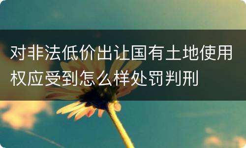 对非法低价出让国有土地使用权应受到怎么样处罚判刑