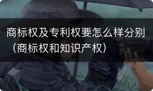 商标权及专利权要怎么样分别（商标权和知识产权）