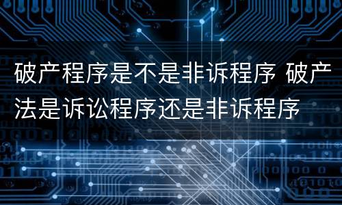 破产程序是不是非诉程序 破产法是诉讼程序还是非诉程序