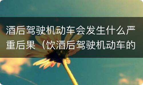 酒后驾驶机动车会发生什么严重后果（饮酒后驾驶机动车的后果）