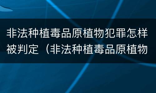 非法种植毒品原植物犯罪怎样被判定（非法种植毒品原植物罪情节严重）