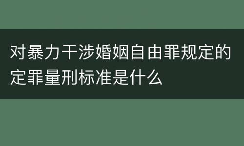 对暴力干涉婚姻自由罪规定的定罪量刑标准是什么