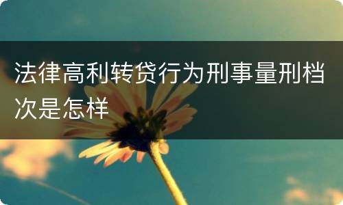 法律高利转贷行为刑事量刑档次是怎样