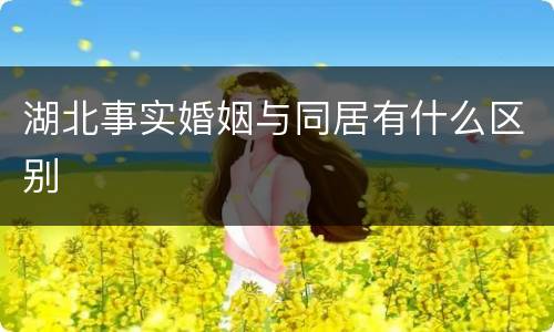 湖北事实婚姻与同居有什么区别