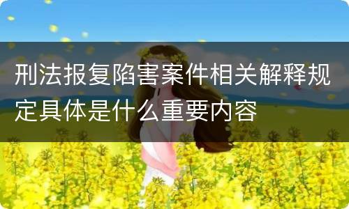 刑法报复陷害案件相关解释规定具体是什么重要内容