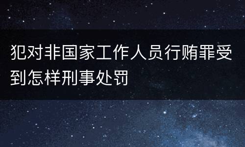 犯对非国家工作人员行贿罪受到怎样刑事处罚