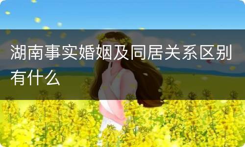 湖南事实婚姻及同居关系区别有什么