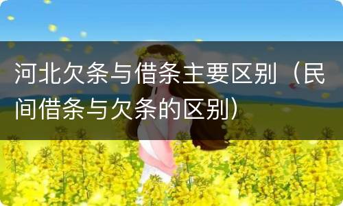 河北欠条与借条主要区别（民间借条与欠条的区别）