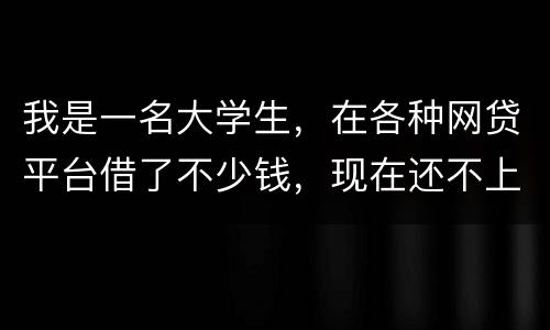 我是一名大学生，在各种网贷平台借了不少钱，现在还不上，如果不还会怎么样