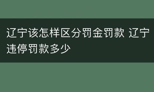 辽宁该怎样区分罚金罚款 辽宁违停罚款多少