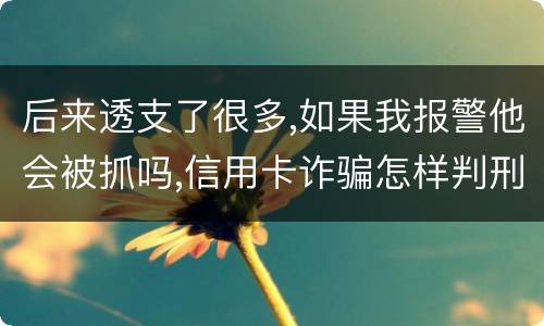 后来透支了很多,如果我报警他会被抓吗,信用卡诈骗怎样判刑