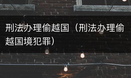 刑法办理偷越国（刑法办理偷越国境犯罪）