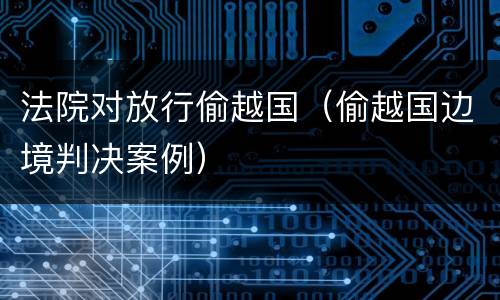 法院对放行偷越国（偷越国边境判决案例）