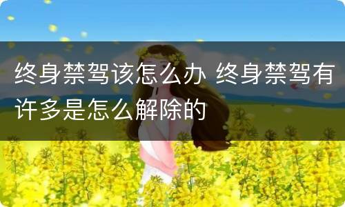终身禁驾该怎么办 终身禁驾有许多是怎么解除的