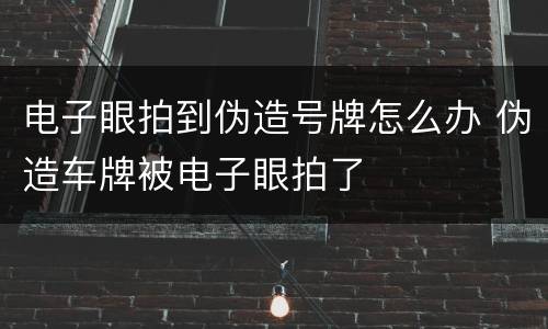 电子眼拍到伪造号牌怎么办 伪造车牌被电子眼拍了