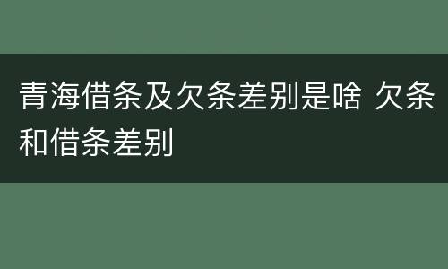 青海借条及欠条差别是啥 欠条和借条差别