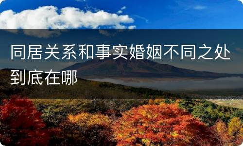 同居关系和事实婚姻不同之处到底在哪