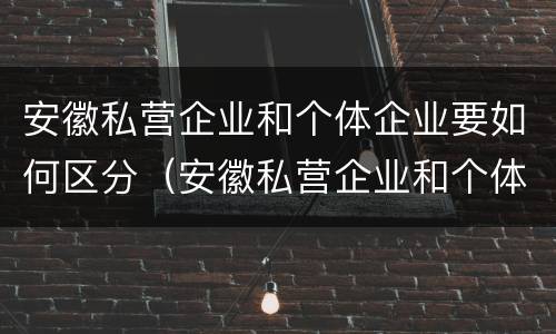 安徽私营企业和个体企业要如何区分（安徽私营企业和个体企业要如何区分出来）