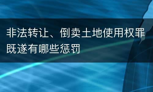 非法转让、倒卖土地使用权罪既遂有哪些惩罚