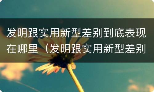 发明跟实用新型差别到底表现在哪里（发明跟实用新型差别到底表现在哪里呢）
