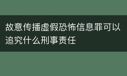 故意传播虚假恐怖信息罪可以追究什么刑事责任