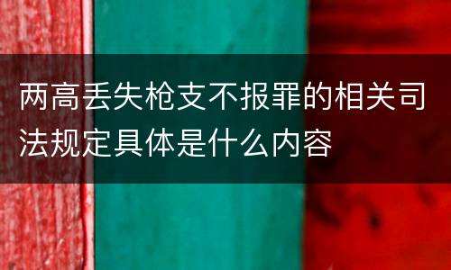 两高丢失枪支不报罪的相关司法规定具体是什么内容