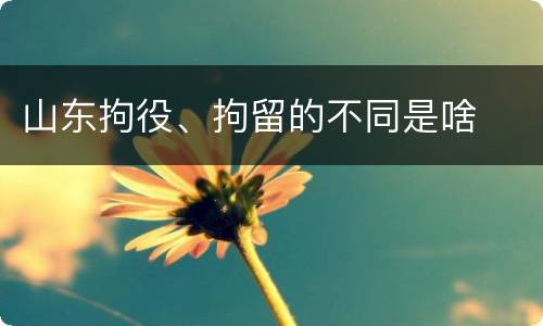 山东拘役、拘留的不同是啥