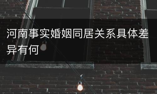 河南事实婚姻同居关系具体差异有何