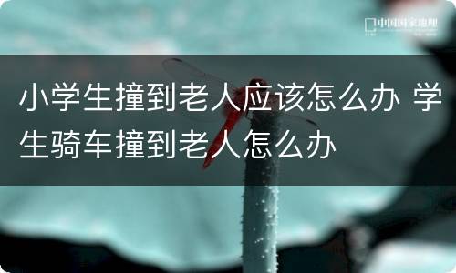 小学生撞到老人应该怎么办 学生骑车撞到老人怎么办