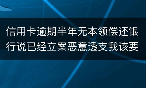 信用卡逾期半年无本领偿还银行说已经立案恶意透支我该要怎样办