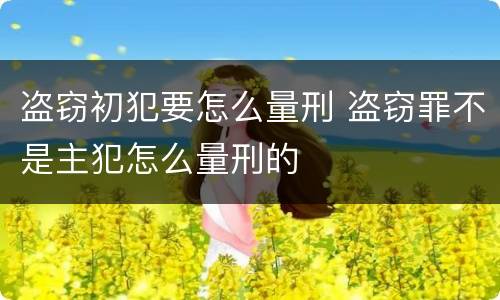 盗窃初犯要怎么量刑 盗窃罪不是主犯怎么量刑的