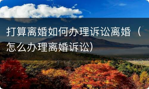 打算离婚如何办理诉讼离婚（怎么办理离婚诉讼）