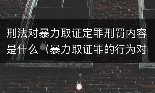 刑法对暴力取证定罪刑罚内容是什么（暴力取证罪的行为对象）