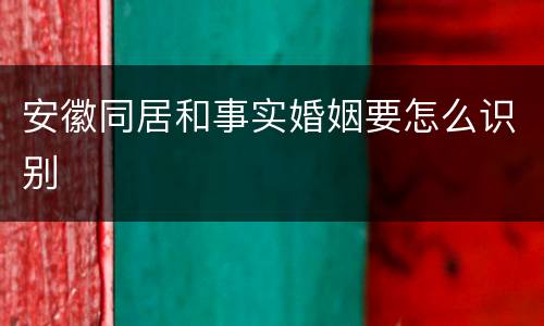 安徽同居和事实婚姻要怎么识别