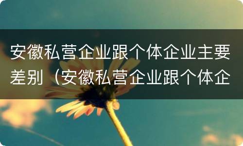 安徽私营企业跟个体企业主要差别（安徽私营企业跟个体企业主要差别是什么）