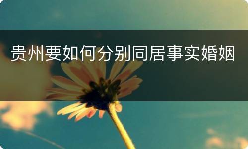 贵州要如何分别同居事实婚姻