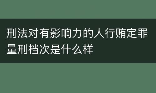 刑法对有影响力的人行贿定罪量刑档次是什么样
