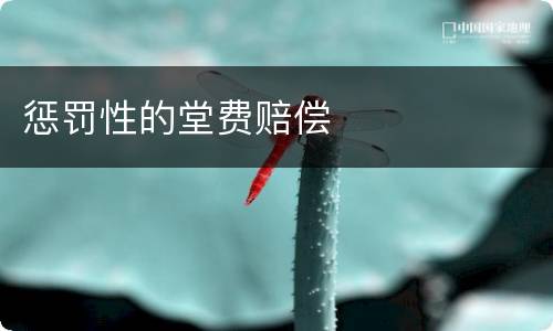 惩罚性的堂费赔偿