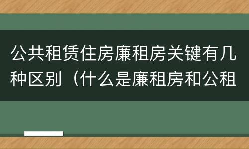 公共租赁住房廉租房关键有几种区别（什么是廉租房和公租房两个有什么特点）