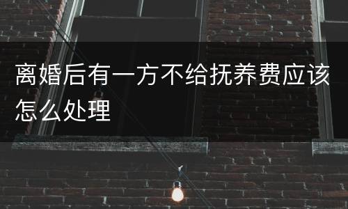 离婚后有一方不给抚养费应该怎么处理