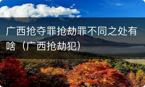 广西抢夺罪抢劫罪不同之处有啥（广西抢劫犯）
