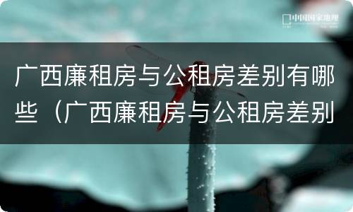 广西廉租房与公租房差别有哪些（广西廉租房与公租房差别有哪些原因）